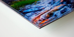 Stampa su plexiglass